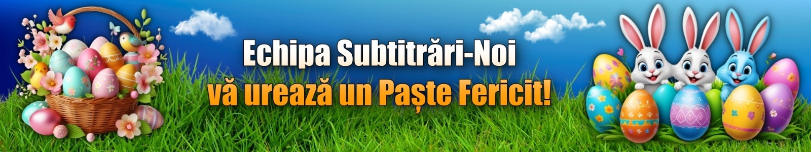 Banner Subtitrari noi ro