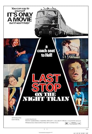 subtitrare Last Stop on the Night Train (1975)