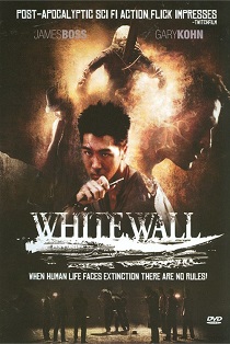 subtitrare White Wall (2010)
